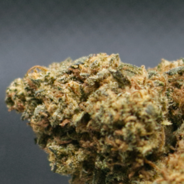 STRAWBERRYzoom
