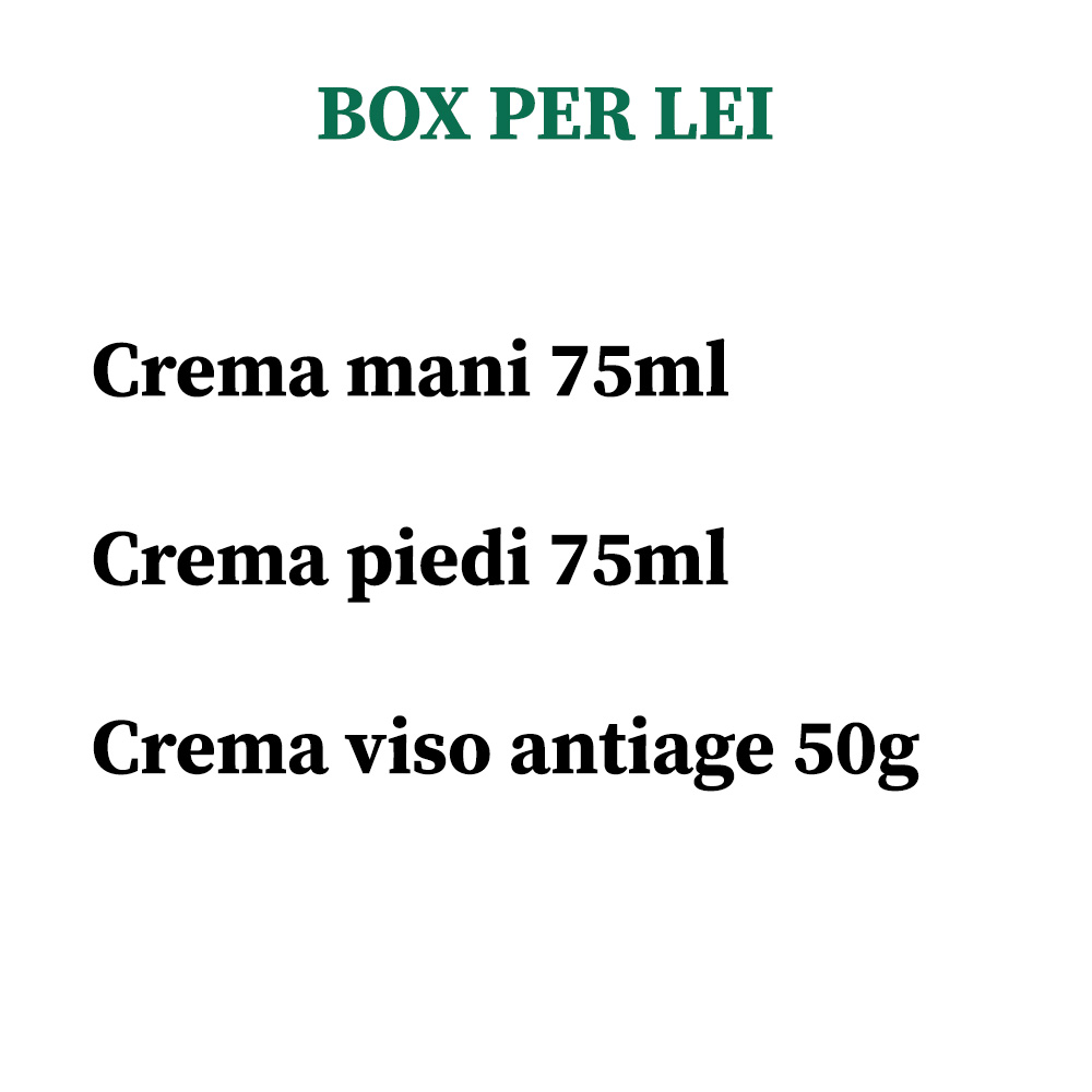 Box per Lei