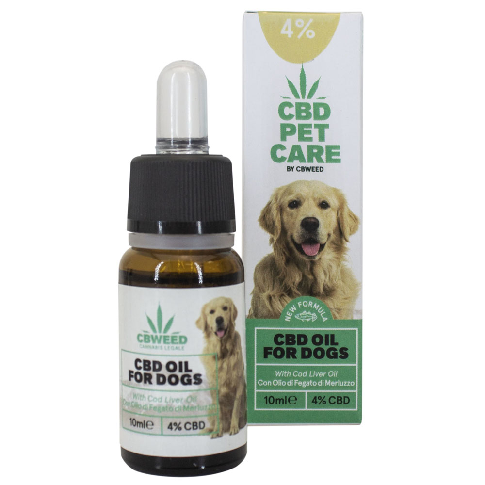 Olio al CBD per la cura del Cane