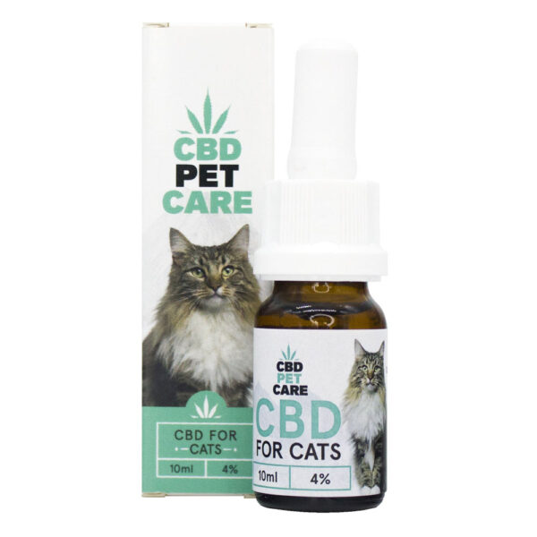 Olio al CBD per la cura del Gatto