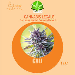 Cali