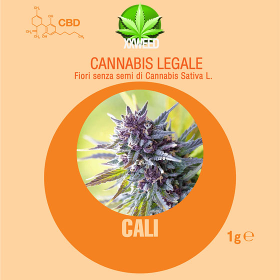 01-cali.jpg
