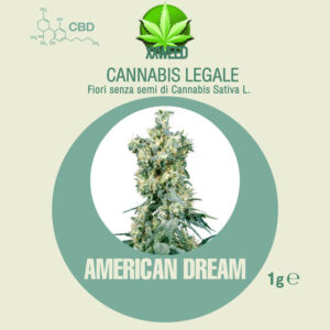 American Dream