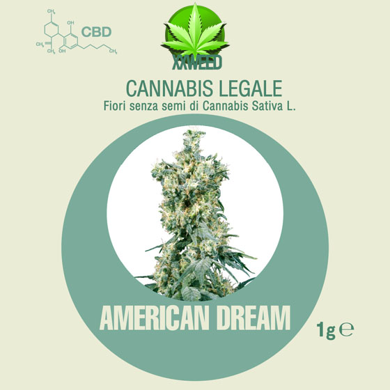 02-american.jpg