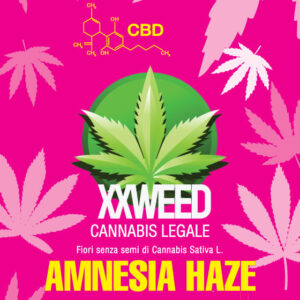Bustina Amnesia Haze