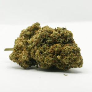 02-fiore-amnesia-1000x1000-1.jpg