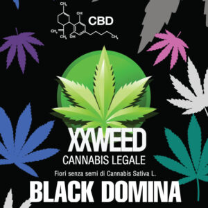 Bustina Black Domina