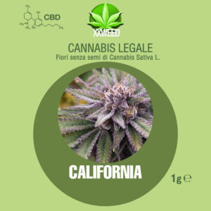 California