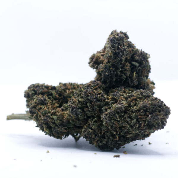 03-fiore-black-domina-1000x1000-1.jpg