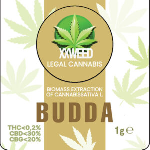 Budda