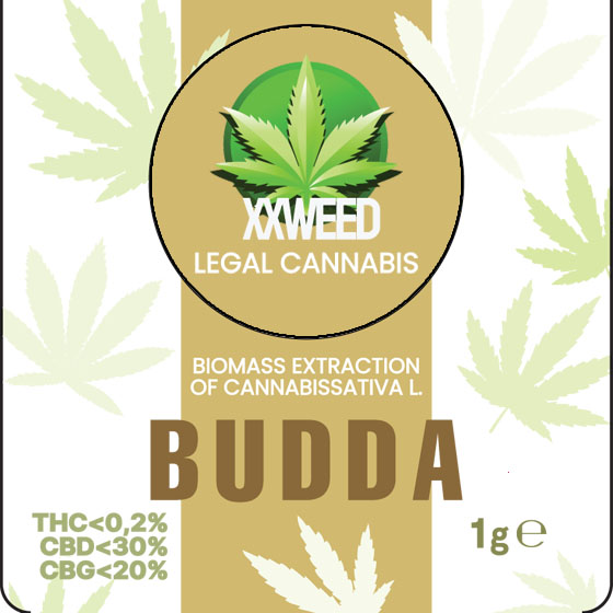 04-budda.jpg