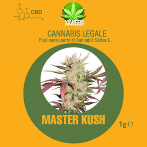 Master Kush