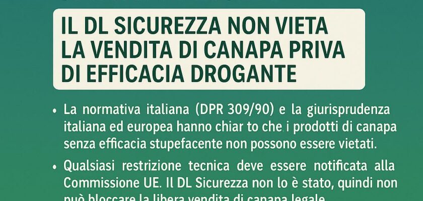 Canapa light: il DL Sicurezza non ferma il settore