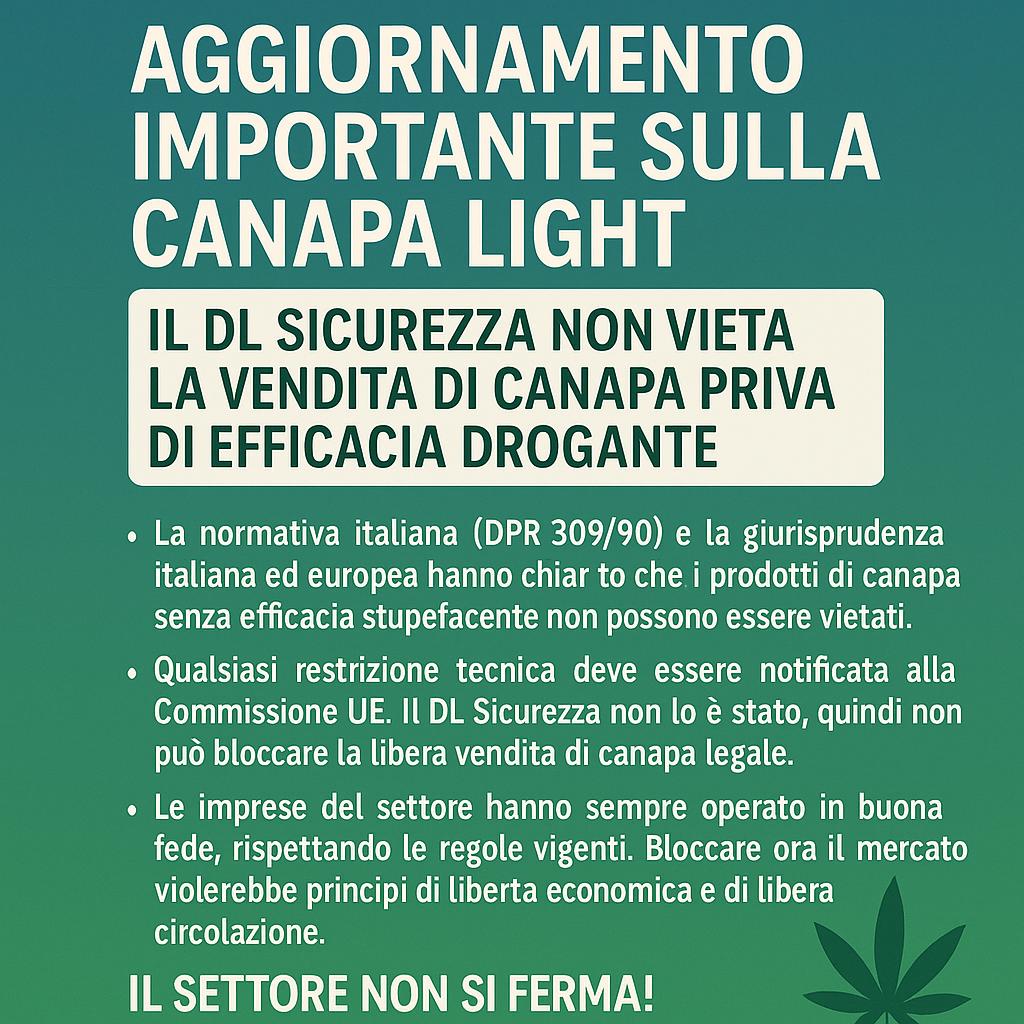 Canapa light: il DL Sicurezza non ferma il settore